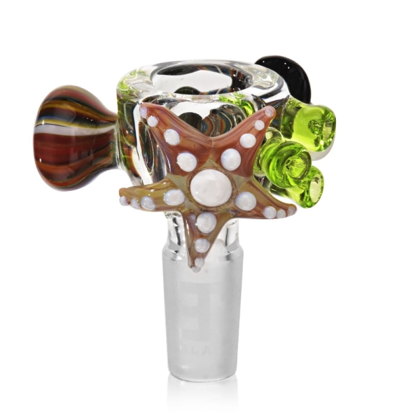 Sealife Glass Bowl - Image 3